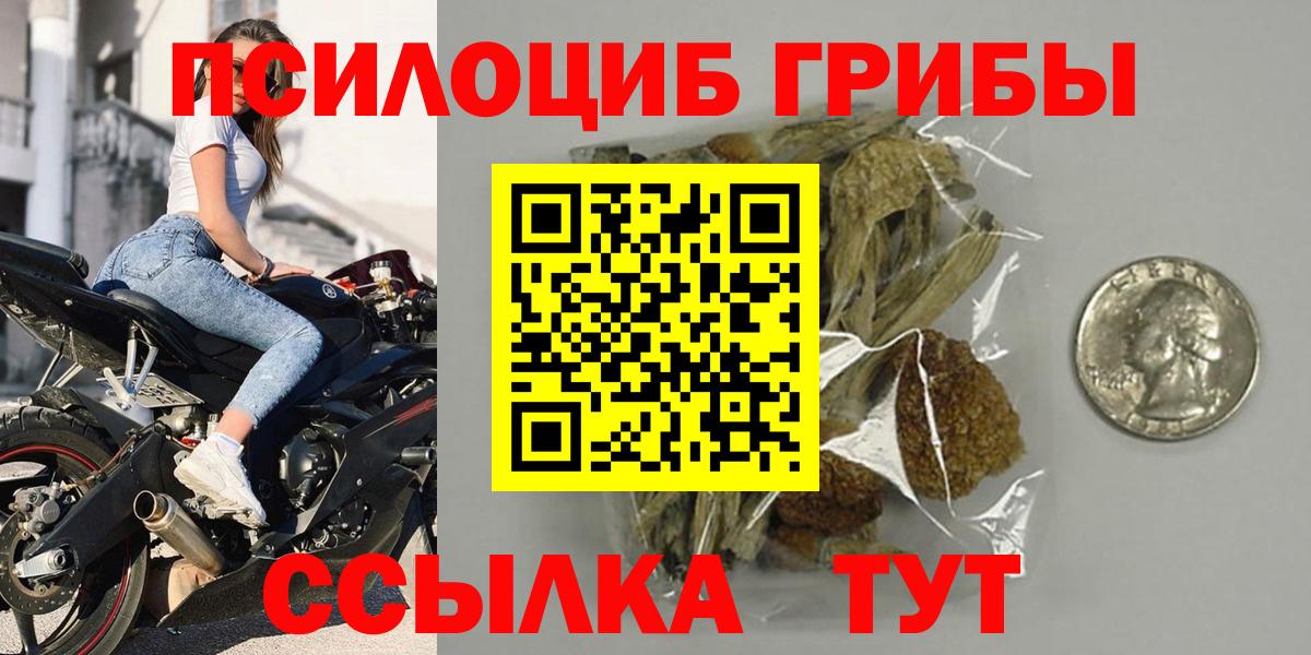Псилоцибиновые грибы Cubensis  Вход с VPN  Архангельск 